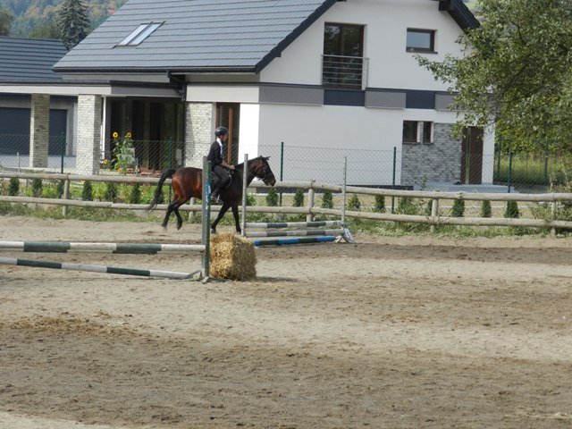 Babie Lato 2016